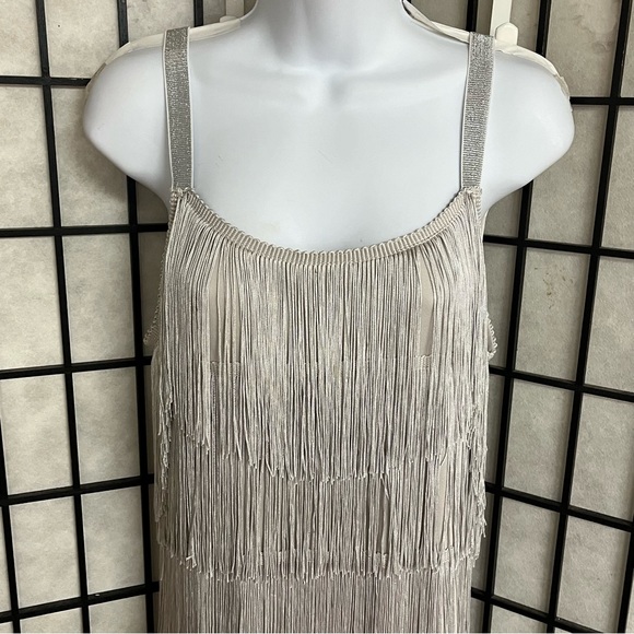 Rorox ladies 1920s style fringe flapper dress size large (NWT) - Picture 3 of 6